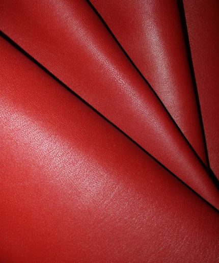 ناپا بزی قرمز