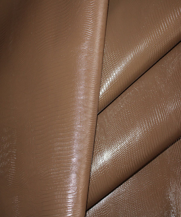 لیزارد گاوی ویزون