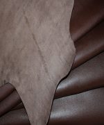 ناپا بزی قهوه ای - Image 3