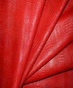 کروکودیل بزی قرمز - Image 4