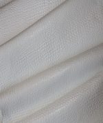 کروکودیل بزی سفید - Image 2