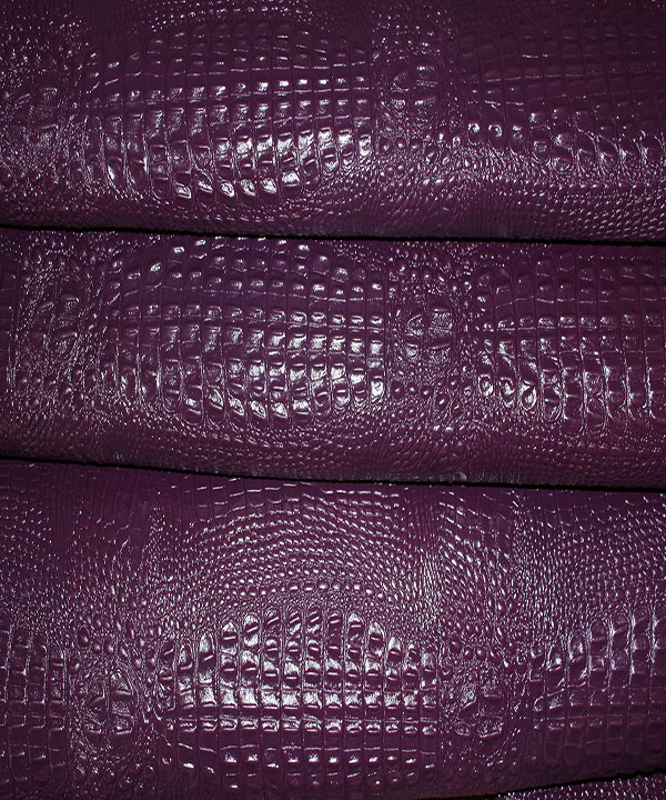 کروکودیل گاوی بنفش1