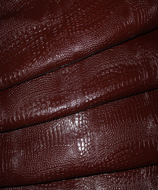 کروکودیل گاوی قهوه ای1