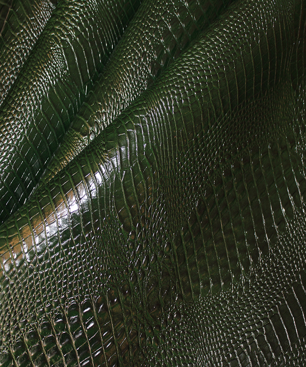 20231003134529_IMG_9549-1