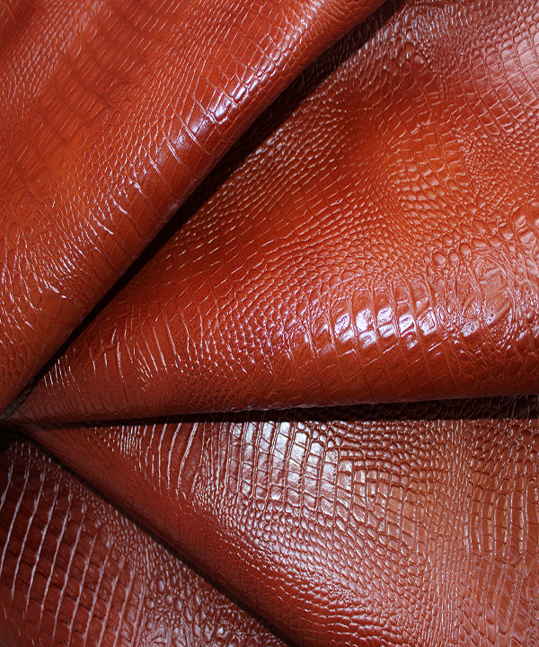 20231003141125_IMG_9595 (1)-1