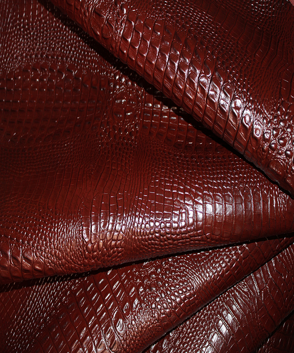 20231003142414_IMG_9614-1