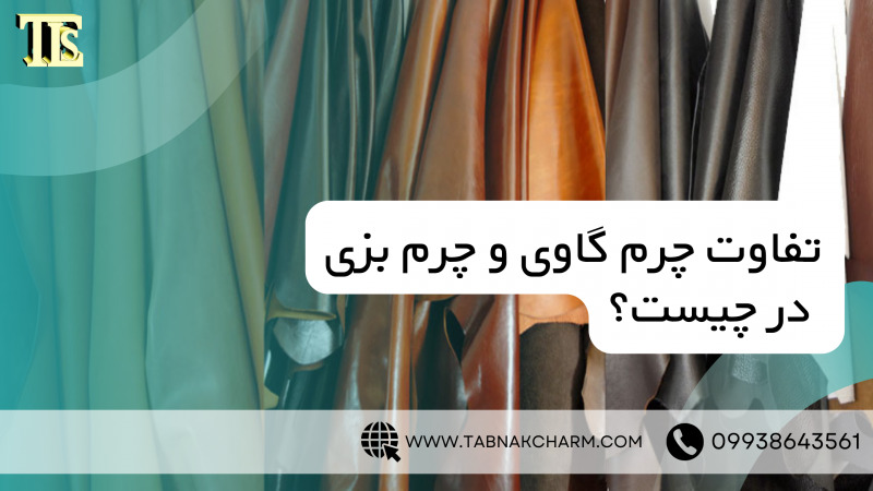 تفاوت چرم گاوی و چرم بزی در چیست؟