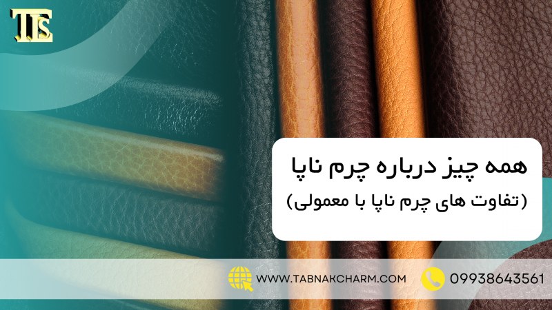 همه چیز درباره چرم ناپا