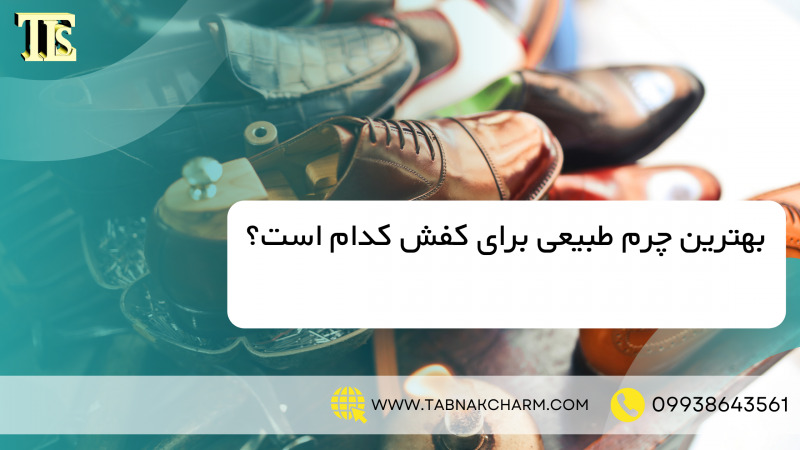 بهترین چرم طبیعی برای کفش کدام است؟