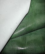 لیزارد اشبالت سبز یشمی - Image 2